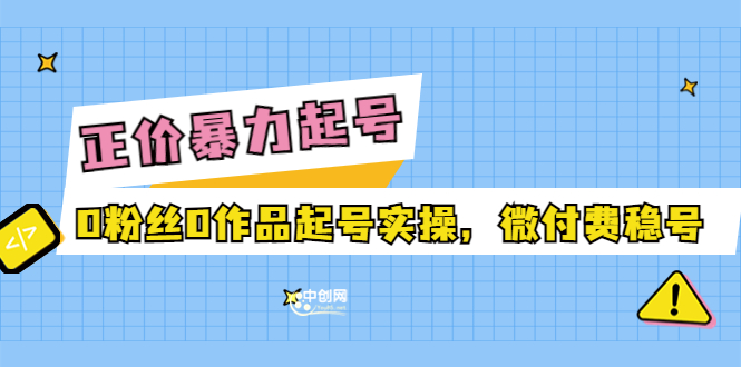 （3377期）正价暴力起实操号：0粉丝0作品起号实操，微付费稳号-副业项目资源网