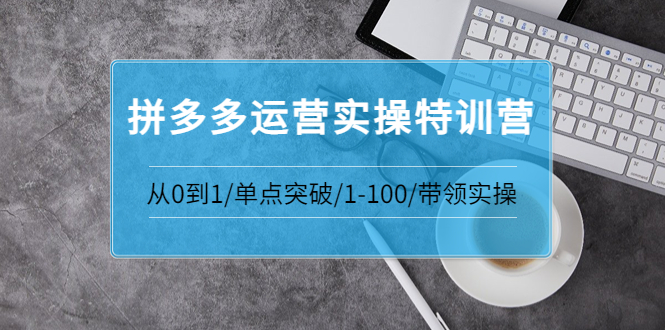 （3417期）青云:拼多多运营实操特训营：从0到1/单点突破/1-100/带领实操-副业项目资源网