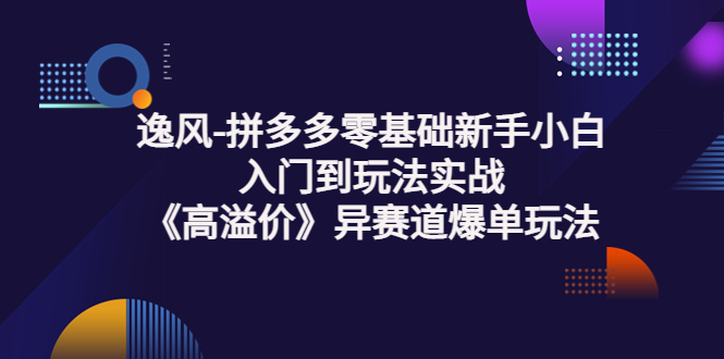 （3435期）逸风-拼多多零基础新手小白入门到玩法实战《高溢价》异赛道爆单玩法实操课-副业项目资源网