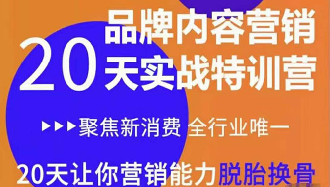 （3461期）《内容营销实操特训营》20天让你营销能力脱胎换骨（价值3999）-副业项目资源网