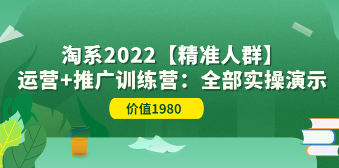 （3516期）淘系2022【精准人群】运营+推广训练营：全部实操演示-副业项目资源网