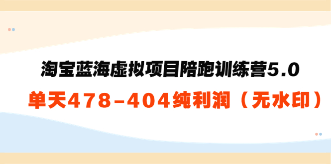 （3537期）黄岛主：淘宝蓝海虚拟项目陪跑训练营5.0：单天478纯利润（无水印）-副业项目资源网