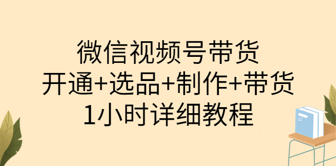 （3515期）陈奶爸·微信视频号带货：开通+选品+制作+带货（1小时详细教程）-副业项目资源网