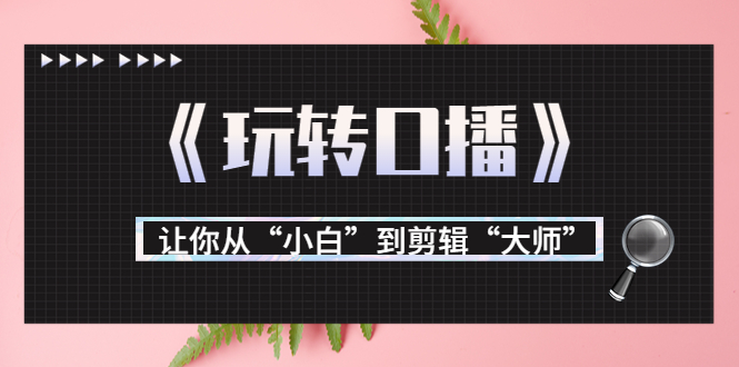 （3571期）月营业额700万+大佬教您《玩转口播》让你从“小白”到剪辑“大师”-副业项目资源网