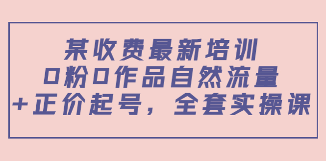 （3648期）某收费最新培训：0粉0作品自然流量+正价起号，全套实操课！-副业项目资源网