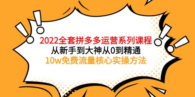 （3654期）2022全套拼多多运营课程，从新手到大神从0到精通，10w免费流量核心实操方法-副业项目资源网