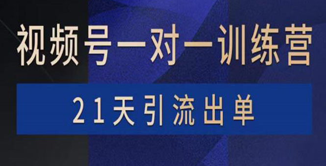 （3678期）视频号训练营：带货，涨粉，直播，游戏，四大变现新方向，21天引流出单-副业项目资源网