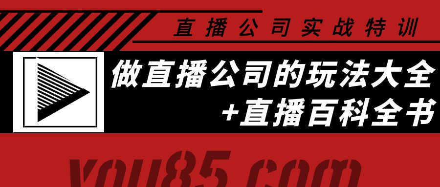 （3799期）老陈·直播公司实战特训：做直播公司的玩法大全+直播百科全书-副业项目资源网