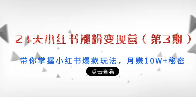 （3795期）21天小红书涨粉变现营（第3期）：带你掌握小红书爆款玩法，月赚10W+秘密-副业项目资源网