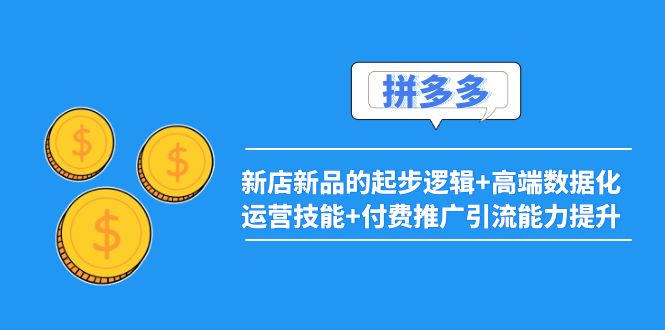 （3824期）2022拼多多：新店新品的起步逻辑+高端数据化运营技能+付费推广引流能力提升-副业项目资源网