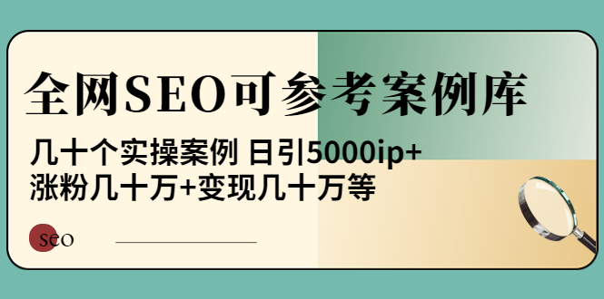 （3834期）《全网SEO可参考案例库》几十个实操案例 日引5000ip+涨粉百W+变现几十W等!-副业项目资源网