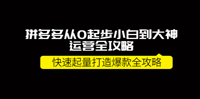 （3884期）拼多多从0起步小白到大神运营全攻略，快速起量打造10W+爆款全攻略！-副业项目资源网