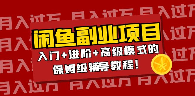 （3879期）月入过万闲鱼副业项目：入门+进阶+高级模式的保姆级辅导教程！-副业项目资源网