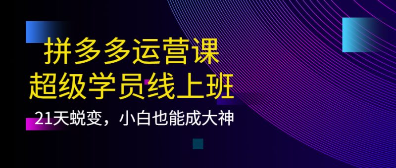 （3929期）拼多多运营课：超级学员线上班，21天蜕变，小白也能成大神-副业库