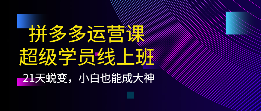 （3929期）拼多多运营课：超级学员线上班，21天蜕变，小白也能成大神-副业项目资源网