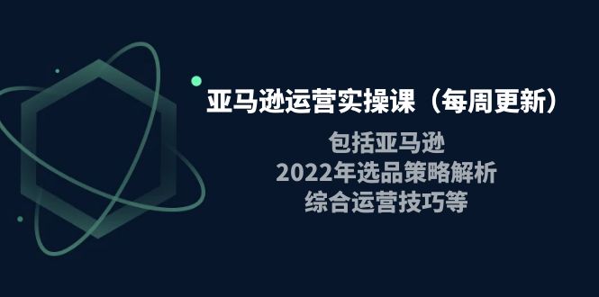 （3955期）亚马逊运营实操课（每周更新）包括亚马逊2022选品策略解析，综合运营技巧等-副业项目资源网