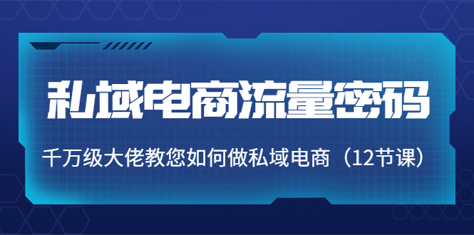 （3977期）私域电商流量密码：千万级大佬教您如何做私域电商（12节课）-副业库
