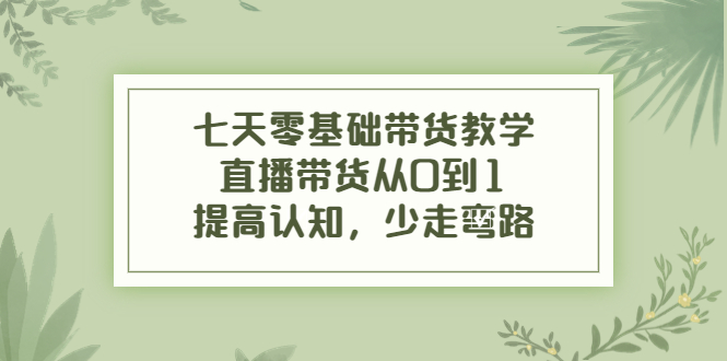 （3986期）七天零基础带货教学，直播带货从0到1，提高认知，少走弯路-副业项目资源网