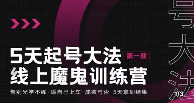 （3121期）五天起号魔鬼训练营，告别光学不练，逼自己上车，成败与否，5天拿到结果-副业项目资源网