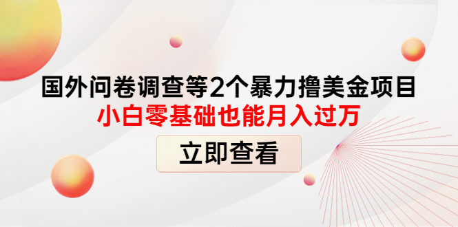 （4062期）国外问卷调查等2个暴力撸美金项目，小白零基础也能月入过万-副业项目资源网