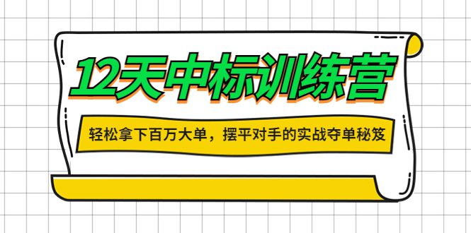 （4116期）12天中标训练营：轻松拿下百万大单，摆平对手的实战夺单秘笈！-副业项目资源网