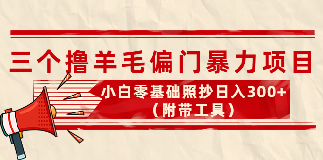 （4110期）外面卖998的三个撸羊毛偏门暴力项目，小白零基础照抄日入300+（附带工具）-副业项目资源网