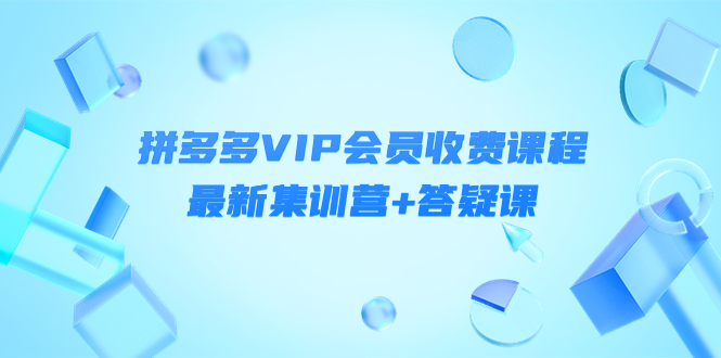 （4127期）某社群·拼多多VIP会员收费课程，最新集训营+答疑课-价值3299元-副业项目资源网