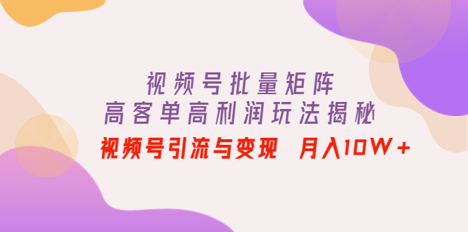 （4193期）视频号批量矩阵的高客单高利润玩法揭秘： 视频号引流与变现 月入10W+-副业项目资源网