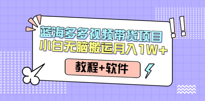 （4343期）人人都能操作的蓝海多多视频带货项目 小白无脑搬运月入10000+（教程+软件）-副业项目资源网