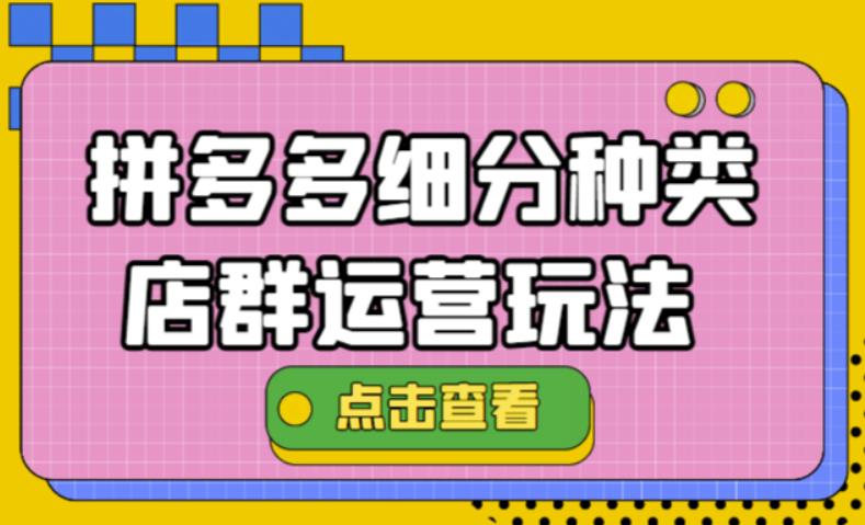 （4373期）拼多多细分种类店群运营玩法3.0，11月最新玩法，小白也可以操作-副业项目资源网