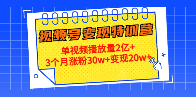 （4455期）20天视频号变现特训营：单视频播放量2亿+3个月涨粉30w+变现20w+-副业项目资源网