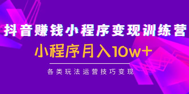 （4511期）抖音赚钱小程序变现训练营：小程序月入10w+各类玩法运营技巧变现-副业项目资源网