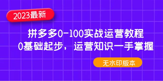 （4835期）2023拼多多0-100实战运营教程，0基础起步，运营知识一手掌握（无水印）-副业项目资源网