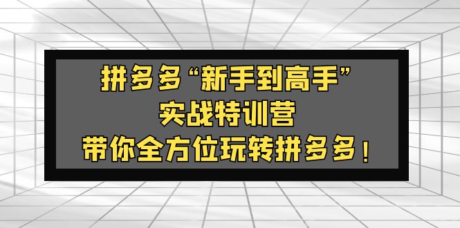 （5173期）拼多多“新手到高手”实战特训营：带你全方位玩转拼多多！-副业项目资源网