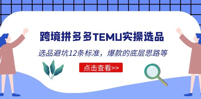 （5402期）跨境拼多多TEMU实操选品运营方法，选品避坑12条标准，爆款的底层思路等-副业项目资源网