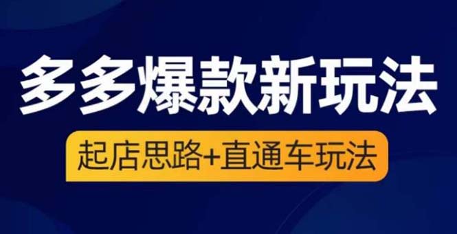 （6028期）2023拼多多爆款·新玩法：起店思路+直通车玩法（3节精华课）-副业项目资源网