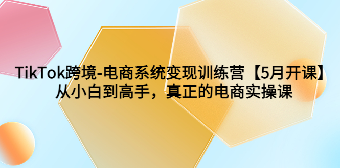 （6058期）TikTok跨境-电商系统变现训练营【5月新课】从小白到高手，真正的电商实操课-副业项目资源网