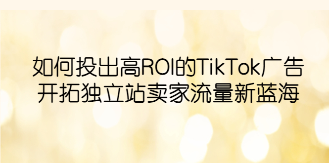 （6102期）如何投出高ROI·TikTok广告，开拓独立站卖家流量新蓝海-副业项目资源网