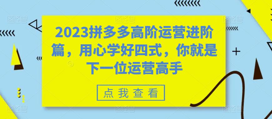 （6193期）2023拼多多高阶运营进阶篇，用心学好四式，你就是下一位运营高手-副业项目资源网