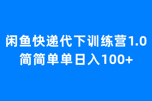 （6671期）闲鱼快递代下训练营1.0，简简单单日入100+-副业项目资源网