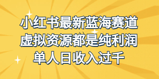 （6721期）外面收费1980的小红书最新蓝海赛道，虚拟资源都是纯利润，单人日收入过千-副业项目资源网