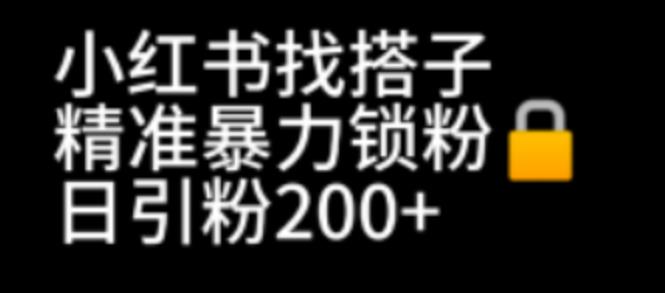 （6807期）小红书找搭子暴力精准锁粉+引流日引200+精准粉-副业项目资源网