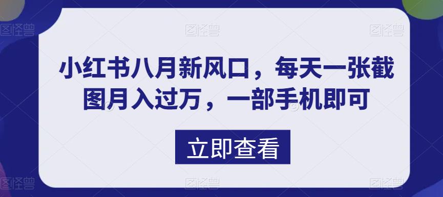 （6851期）八月新风口，小红书虚拟项目一天收入1000+，实战揭秘-副业项目资源网