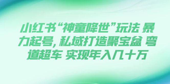 （7673期）小红书“神童降世”玩法 暴力起号,私域打造聚宝盆 弯道超车 实现年入几十万-副业项目资源网