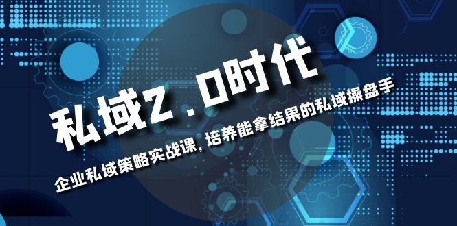 （8291期）私域-2.0时代：企业私域策略实战课，培养能拿结果的私域操盘手-副业项目资源网