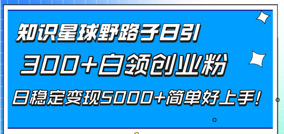 （8315期）知识星球野路子日引300+白领创业粉，日稳定变现5000+简单好上手！-副业项目资源网