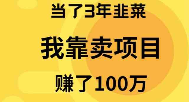 （9100期）当了3年韭菜，我靠卖项目赚了100万-副业项目资源网