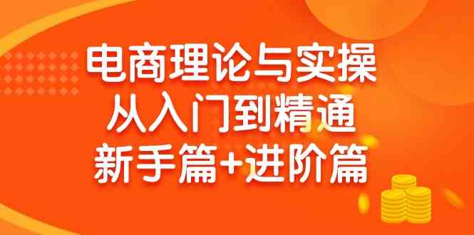 （9576期）电商理论与实操从入门到精通 新手篇+进阶篇-副业项目资源网