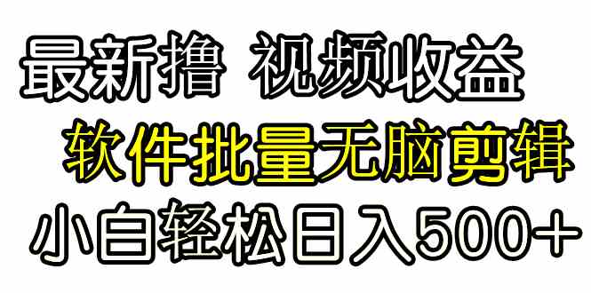 （9569期）发视频撸收益，软件无脑批量剪辑，第一天发第二天就有钱-副业项目资源网