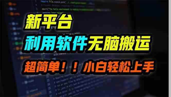 （9745期）新平台用软件无脑搬运，月赚10000+，小白也能轻松上手-副业项目资源网